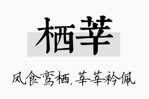 栖莘名字的寓意及含义