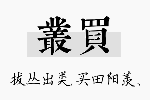 丛买名字的寓意及含义