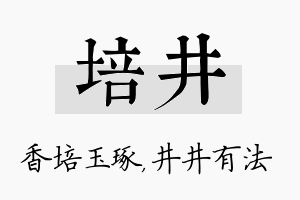 培井名字的寓意及含义