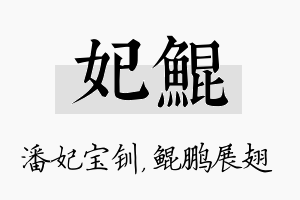 妃鲲名字的寓意及含义