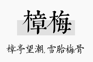 樟梅名字的寓意及含义