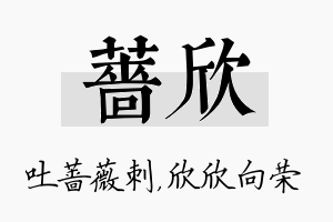 蔷欣名字的寓意及含义