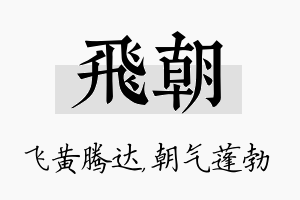 飞朝名字的寓意及含义