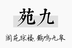 苑九名字的寓意及含义