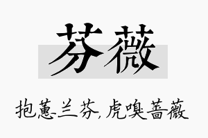 芬薇名字的寓意及含义