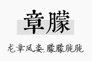 章朦名字的寓意及含义