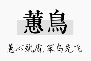 蕙鸟名字的寓意及含义