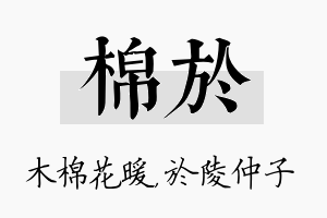 棉於名字的寓意及含义