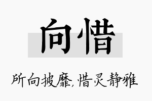 向惜名字的寓意及含义