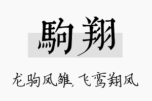 驹翔名字的寓意及含义