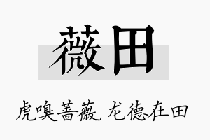 薇田名字的寓意及含义