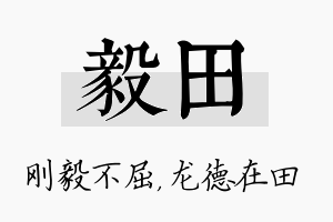 毅田名字的寓意及含义