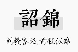 诏锦名字的寓意及含义