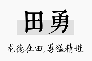 田勇名字的寓意及含义