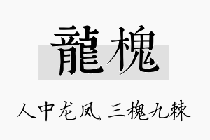 龙槐名字的寓意及含义