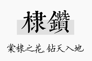 棣钻名字的寓意及含义