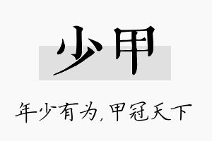 少甲名字的寓意及含义