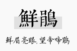 鲜鹃名字的寓意及含义