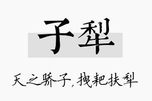 子犁名字的寓意及含义