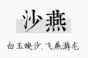 沙燕名字的寓意及含义