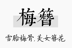 梅簪名字的寓意及含义