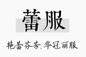 蕾服名字的寓意及含义