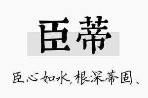 臣蒂名字的寓意及含义