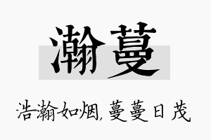 瀚蔓名字的寓意及含义