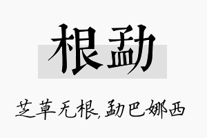 根勐名字的寓意及含义