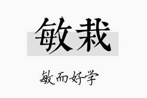 敏栽名字的寓意及含义