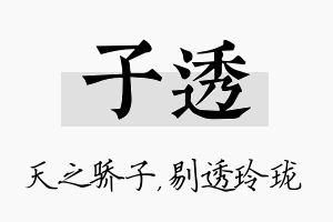 子透名字的寓意及含义