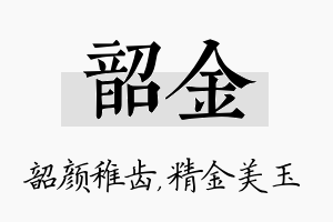 韶金名字的寓意及含义