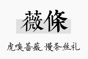 薇条名字的寓意及含义