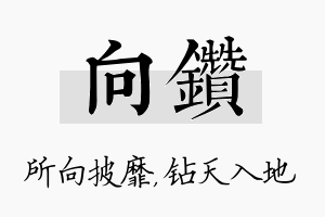 向钻名字的寓意及含义