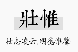 壮惟名字的寓意及含义