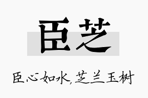 臣芝名字的寓意及含义