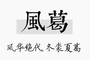 风葛名字的寓意及含义