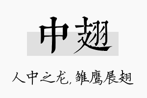 中翅名字的寓意及含义