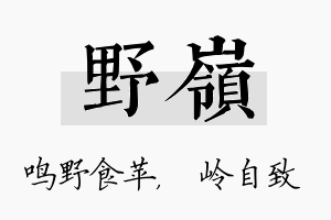 野岭名字的寓意及含义