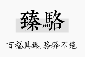 臻骆名字的寓意及含义