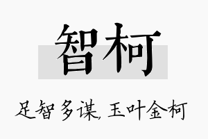 智柯名字的寓意及含义