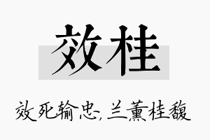 效桂名字的寓意及含义