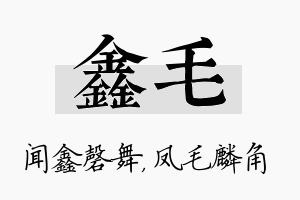 鑫毛名字的寓意及含义