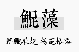 鲲藻名字的寓意及含义