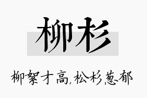 柳杉名字的寓意及含义