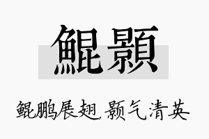 鲲颢名字的寓意及含义