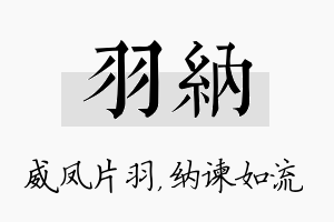 羽纳名字的寓意及含义