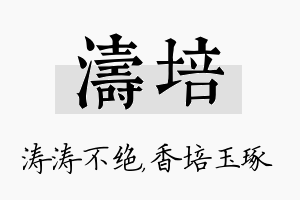 涛培名字的寓意及含义