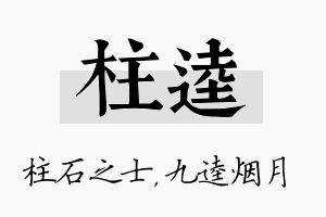 柱逵名字的寓意及含义