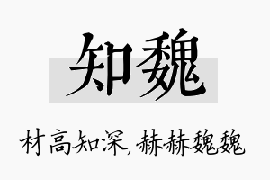 知魏名字的寓意及含义